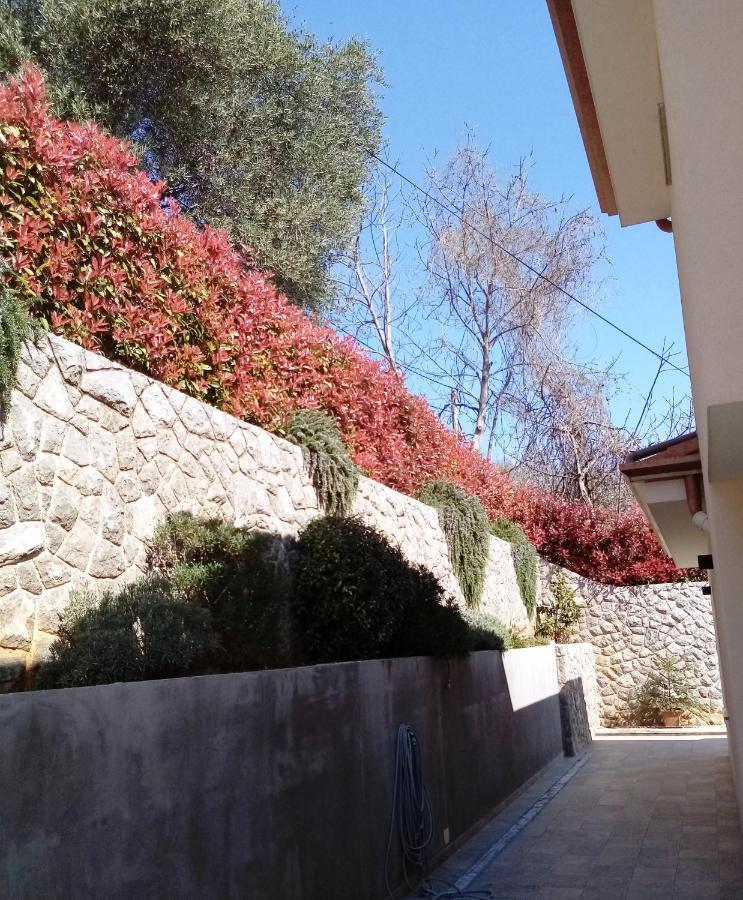Ivy2